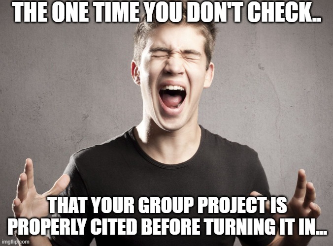A meme image of a man screaming with the text: The one time you don't check... that your group project is properly cited before turning it in.