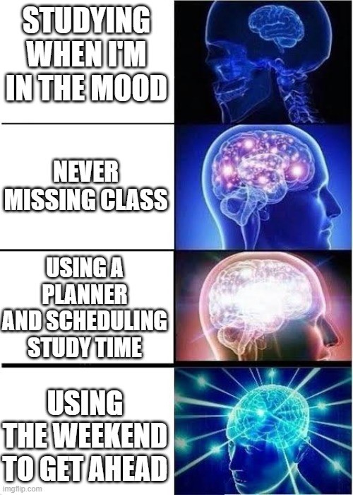 Brain meme with the progressing steps: studying when I'm in the mood, never missing class, using a planner and scheduling study time, using the weekend to get ahead. 