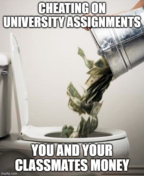 Meme image of money being dumped into a toilet with the text: Cheating on university assignments, you and your classmates' money.
