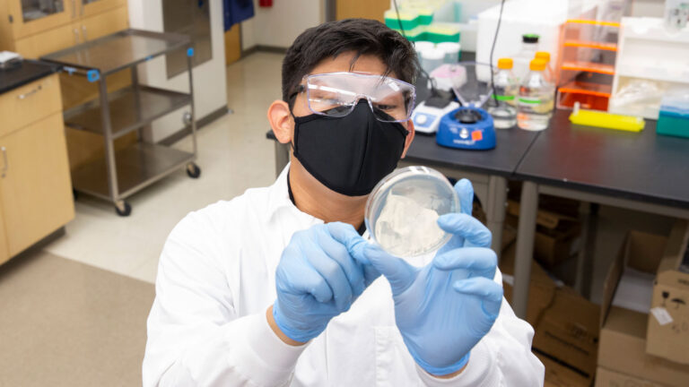 A biomedical engineering student conducts research