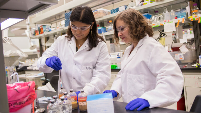 A student and faculty member conduct research together in a lab.