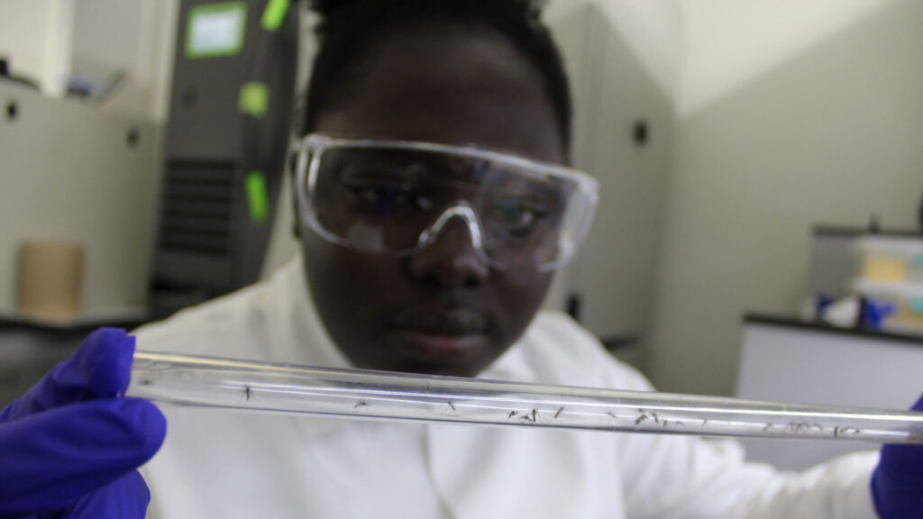 A student works in the Innovative Vector Solutions Lab at ASU.