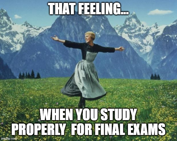 A meme image of Maria from the Sound of Music with the text: That feeling when you study properly for final exams.