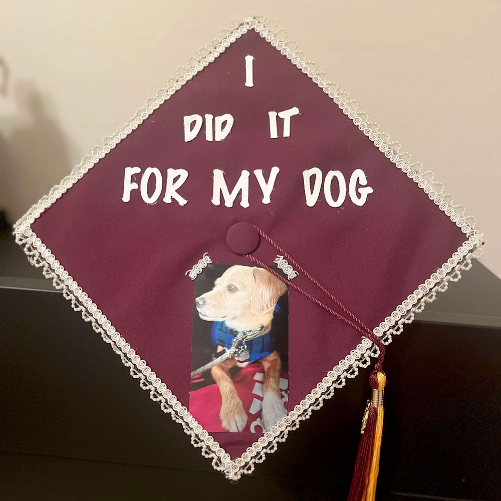 A decorated mortarboard with lace border, a picture of a cute dog and the words "I did it for my dog."