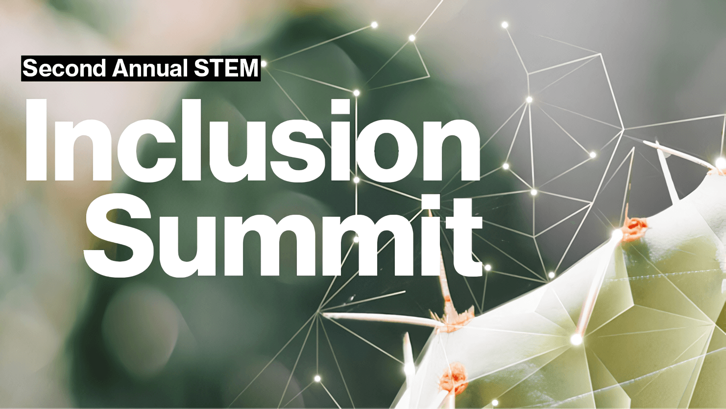 Graphic of "Second Annual STEM Inclusion Summit" on a cactus background