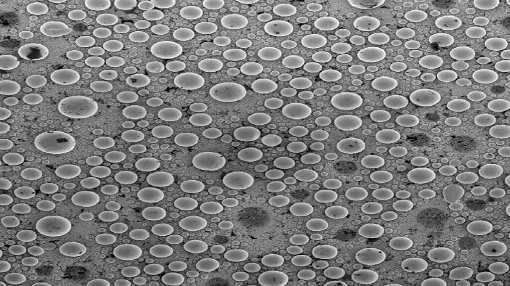 Scanning Electron Microscopy image