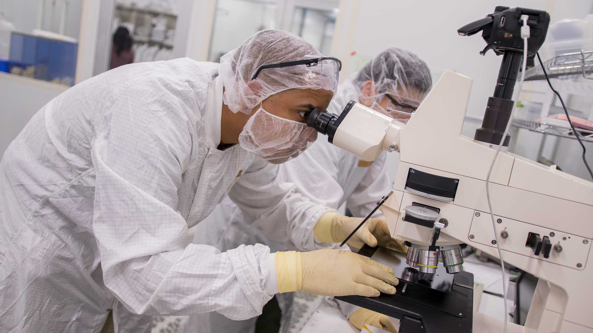 Researchers in lab coats look into a microscope.